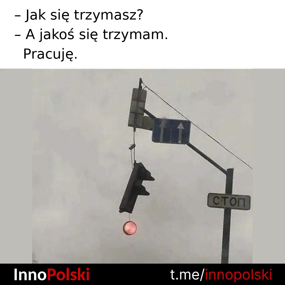 🇵🇱 InnoPolski 🇵🇱 — публикация от 19 октября 2026 г.