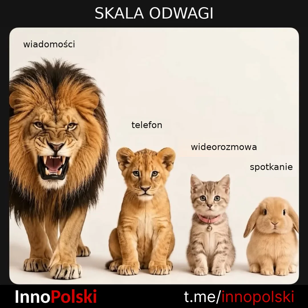 🇵🇱 InnoPolski 🇵🇱 — публикация от 22 октября 2026 г.