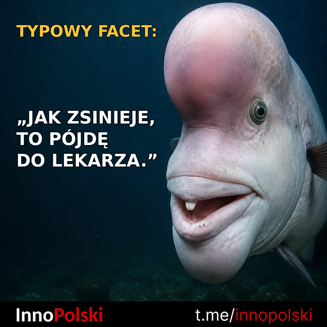 🇵🇱 InnoPolski 🇵🇱 — публикация от 07 сентября 2026 г.
