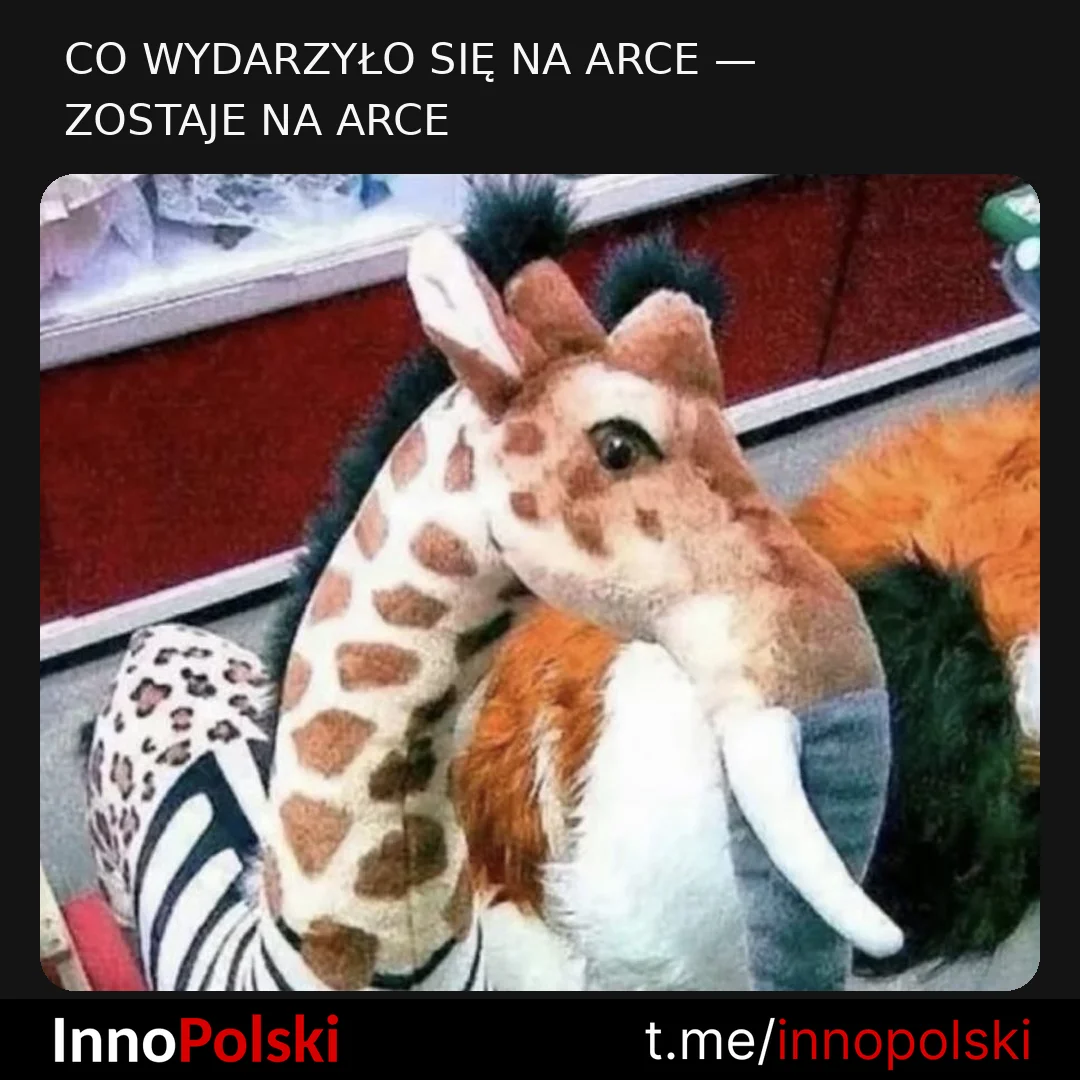 🇵🇱 InnoPolski 🇵🇱 — публикация от 18 октября 2026 г.
